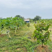 Kẹt Tiền Kinh Doanh Bán Nhanh Lô Đất Vườn 1000M2 Giá Chỉ 460 Triệu