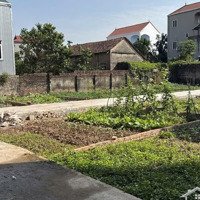 Chính Chủ Cần Tiền Bán Mảnh Đất Thọ Andiện Tích43.2M2 Ngay Sát Đườngcó Thương Lượng417