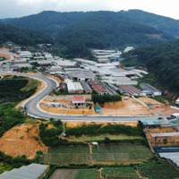 Hàng Ngộp, Giá Tốt, Sản Phẩm Đáng Để Đầu Tư
