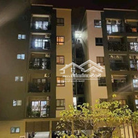 Gấp! Căn Dịch Vụ Tm - Vị Trí Vàng Kết Hợp Ở Và Kinh Doanh - Mặt Bằng Sẵn Sàng Kinh Doanh Ngay