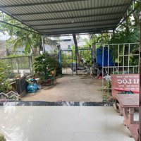 Cho Thuê Nhà Riêng Tại Đường Vành Đai, Phường 7, Trà Vinh, Giá Siêu Hời 3 Triệu Vnd, 300M2