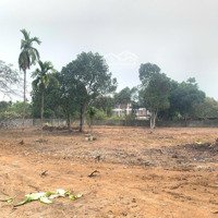 Cần Bán 2750M2 250M2 Ont Lô Góc 2 Mặt Tiền Giá Rẻ Tại Lương Sơn