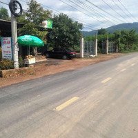 Bán Đất Mặt Tiền Tỉnh Lộ 8, 399 Triệu, 302 M2 Khánh Bình, Khánh Vĩnh, Khánh Hoà