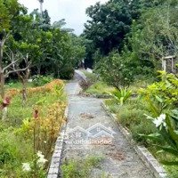 Bán 1859M2 Nghỉ Dưỡng Tay Chạm Nước Tại Hồ Cửa Khâu Đông Xuân, Quốc Oai, Giá Bán 25 Tỷ