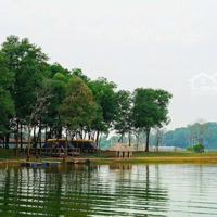 Sở Hữu Đất Nền Khu Đô Thị Hòa Lạc, Sát Hồ, Cạnh Sân Golf Đồng Mô, Sổ Đỏ Từng Lô, Giá Từ 1.9 Tỷ
