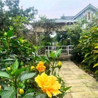 Nhà Vườn Nho Nhỏ Xinh Xinh Tại Hoà Thạch Quốc Oai Hà Nội,Diện Tích810M2/240M2 Thổ Cư