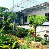 Nhà Vườn Nho Nhỏ Xinh Xinh Tại Hoà Thạch Quốc Oai Hà Nội,Diện Tích810M2/240M2 Thổ Cư