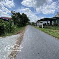 Siêu Rẻ! Bán 153M2 Đất Gia Lộc, Trảng Bàng Giá Chỉ Với 350 Triệu