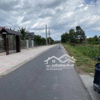 Siêu Rẻ! Bán 153M2 Đất Gia Lộc, Trảng Bàng Giá Chỉ Với 350 Triệu