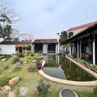 Tôi Cần Chuyển Nhượng Căn Nhà Nhỏ Xinh Hoàn Thiện, Chỉ Sẵn Về Ở Hoặc Kinh Doanh