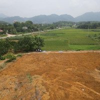Bán Trang Trại, Khu Nghỉ Dưỡng Tại Thanh Thủy, Phú Thọ, 1,5 Tỷ, 2500 M2