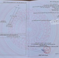 Đất Cln Sổ Hồng Riêng Xã Phú Ngọc - Định Quán Đn - Đường Thông Xe Tải Đậu Trước Đất 270 Triệu / 1 Sào