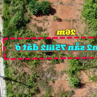 Bán Đất 130M2 Sẵn Thổ Cư Ngay Sau Chợ Lộc An, Bảo Lâm