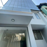 Cho Thuê Tòa Nhà,Mặt Tiềnđường Hoa Lan, Dt: 8X18M, Hầm 5 Tầng, Ngay Trung Tâm Quận Phú Nhuận