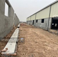 Cho Thuê Nhà Xưởng 6500M2 Tại Đông Hưng, Thái Bình, Có Pccc, Pháp Lý Đầy Đủ Cho Doanh Nghiệp Fdi