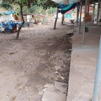 Nhà Trọ Giá Rẻ, Ngay Trung Tâm Thành Phố Gần Chợ, Đường Lớn, Trường Học Từ Mẫu Giáo Đến Cấp 2 - 3