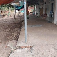 Nhà Trọ Giá Rẻ, Ngay Trung Tâm Thành Phố Gần Chợ, Đường Lớn, Trường Học Từ Mẫu Giáo Đến Cấp 2 - 3