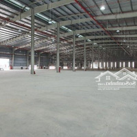 Cần Cho Thuê Kho Xưởngdiện Tích1000M - 10000M, Pccc Tự Động Nghiệm Thu, Dock Công Khung Zamil Xưởng Cao