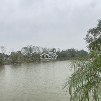 Chính Chủ Bán Lô Biệt Thự Đơn Lập Ngay Cạnh Hồ Điều Hoà Kđt Vườn Hồng Từ Sơn