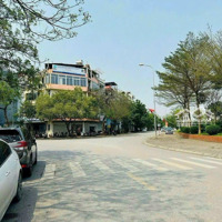 Hoa Hậu Vị Trí Đẹp Nhà Mặt Phố 7 Tầng Thang Máy Xây Thô Khu Giang Biên,Lb.
Đường Ô Tô Tr Kinh Doanh