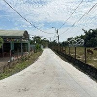 7X37M Cần Ra Gấp Lô Đất Ở Tân Thạch Đông, Củ Chi 1/ Đường Lớn Nguyễn Kim Cương Giá Bán 1,4Tỷ Còn Tl