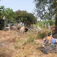 7X37M Cần Ra Gấp Lô Đất Ở Tân Thạch Đông, Củ Chi 1/ Đường Lớn Nguyễn Kim Cương Giá Bán 1,4Tỷ Còn Tl