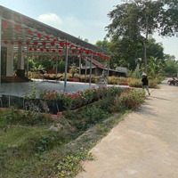 Giá Siêu Hời Gần Kcn Hiệp Thạnh 660 Triệu/440M2 Có 100M2 Tc Dân Cư Hiện Hữu Đông Đúc, Shr