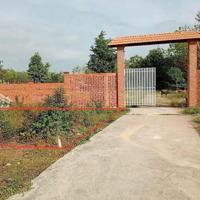 Giá Siêu Hời Gần Kcn Hiệp Thạnh 660 Triệu/440M2 Có 100M2 Tc Dân Cư Hiện Hữu Đông Đúc, Shr