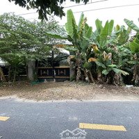 Cần Bán Gấp Mảnh Đất Vườn 501M2 Đang Để Trống
