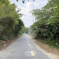 Cần Bán Gấp Mảnh Đất Vườn 501M2 Đang Để Trống