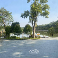Lô Liền Kề Vườn Hồng, Nam Hồng, Từ Sơn. Vị Trí Đối Diện Mặt Hồ Và Đườngcó Thương Lượng277