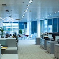 Cho Thuê Showroom Mặt Phố Huế,Diện Tích250M2, Vị Trí Đắc Địa - Giá 160 Triệu/Tháng