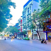 Hot - Cho Thuê Mặt Đường Văn Cao Vị Trí Trung Tâm Gần 193 Văn Cao Giá Rẻ