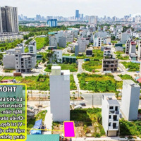 Tổng Hợp Quỹ Đất Dịch Vụ 25.2Ha Diện Tích Từ 50M2 Đến 61M2 Vị Trí Đẹp, Giá Đầu Tư