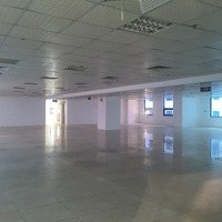 Bán Sàn Văn Phòng Tòa Chelsea Park, Trung Kính 1300M2, 2600M2 Sổ Đỏ Lâu Dài, Có Sẵn Dòng Tiền