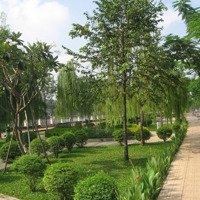 Bán Nhà Mặt Tiền Tầm Vu, P26, Bình Thạnh, (4X12)M, Giá Bán 13,9 Tỷ - Ms172