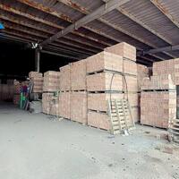 Bán nhà xưởng 10 ha giá rẻ chỉ 110 tỷ. Tân Uyên-Bình Dương