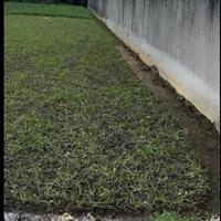 ĐẤT CỦ CHI 2113M2 NGANG 21M MT BÌNH MỸ - CÓ SẴN NHÀ XƯỞNG 700M2. LH:0938820307.