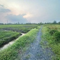 Đất Vườn Giá Rẻ Đầu Tư Nhỏ Lợi Nhuận Nhanh Bình Đức, Bến Lức