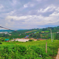 Bán Đất Nghỉ Dưỡng 1006M2, Sát Bidv Tân Hà