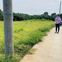 Bán Đất Thổ Cư, Sổ Sẵn. Tại Trảng Bom, Đồng Nai. Giá Bán 599 Triệu