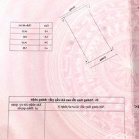 Bán Đất Tại Xã Kim Long, Tam Dương, Vĩnh Phúc, 99.8M2, Giá Nhỉnh Tỷ Sở Hữu Ngay