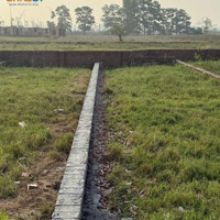 Bán Đất Chính Chủ 60M2 Tại Mai Nội Mai Đình Sóc Sơn Giá Nhỉnh 2 Tỷ Liên Hệ:0981288566