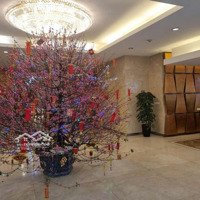 Chủ Nhà Cho Thuê Căn Góc 3 Phòng Ngủhòa Bình Green Đường Bưởi, Ba Đình, Hà Nội