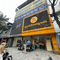 Cho Thuê Nhà Mặt Phố Đỗ Quang 100M X 3 Tầng, Mặt Tiền 8M, Thông Sàn Vị Trí Đẹp, Nhận Diện Tốt