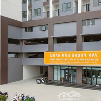 Bán Nhà Dự Án Nhà Ở Xã Hội 384 Lê Thánh Tông, Ngô Quyền, Hp Đại Lý F1. 0769.186.179