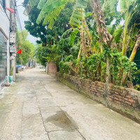 Bán Đất Chính Chủ 173M Tại Nam Hồng Giá Công Nhân Liên Hệ:0981288566
