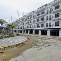 CẦN BÁN LK5 – 1x KHU ĐÔ THỊ ĐÔNG DƯƠNG RESIDENCE – ĐỨC THƯỢNG