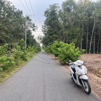 Bán Đất Xã Phước Bình - Long Thành, Diện Tích 2000M2, Sổ Riêng, Thổ Cư 200M. Giá Bán 5Tỷ 700 Triệuiệu Đồng