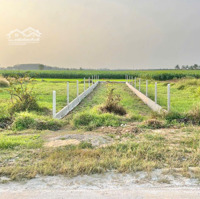 Bán Nhanh Lô Mặt Tiền Đường Nhựa Bàu Sen Đường Thông 155M2 Có 70M2/Tc, Giá Bán 460 Triệu Sổ Hồng Riêng